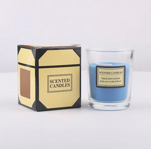 Blueberry Scented Candle