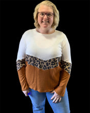 Load image into Gallery viewer, Ivory/Rust/Leopard Chevron Colorblock Long Sleeve
